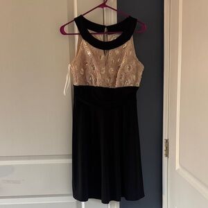 Enfocus Studio Black and Champagne Sleeveless Midi Dress